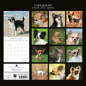 Calendrier 2025 Chien Compagnie Chihuahua