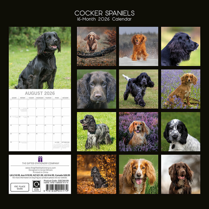 Calendrier 2026 Chien Cocker Anglais
