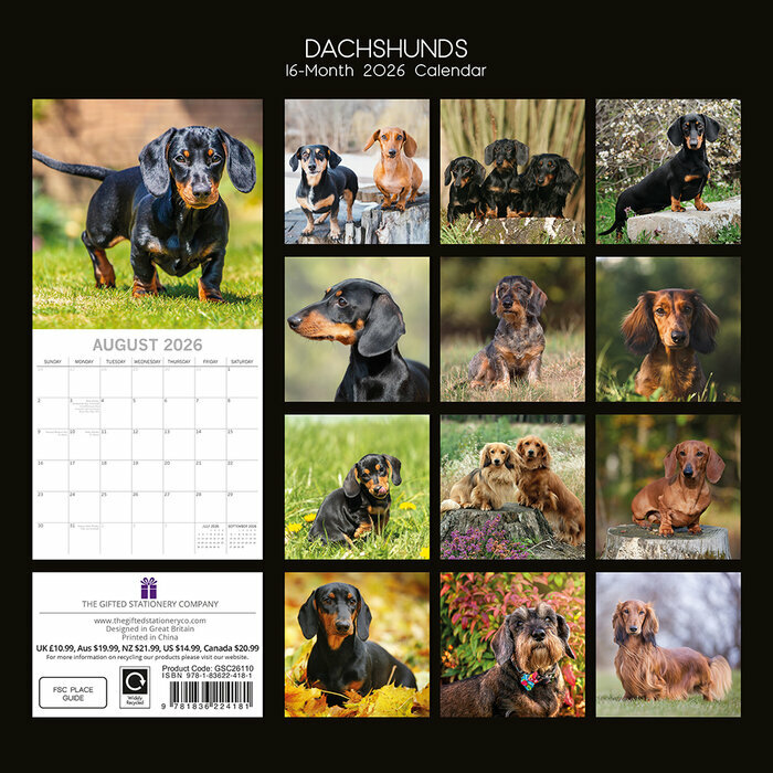 Calendrier 2026 Chien Teckels