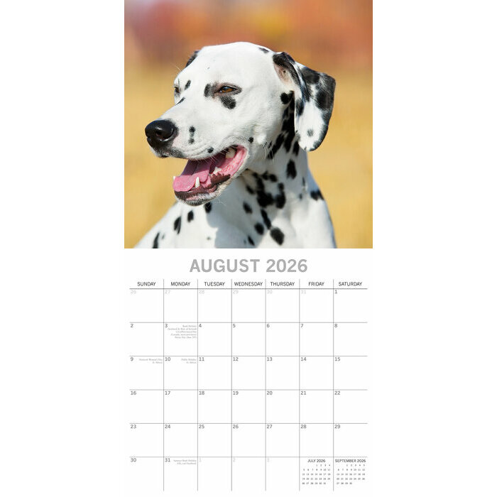 Calendrier Papier 2026 Dalmatien