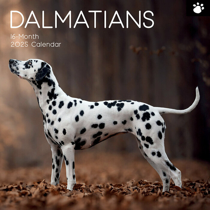 Calendrier 2025 Dalmatien