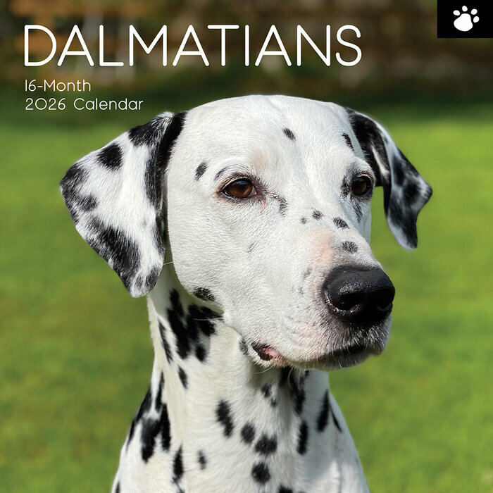 Calendrier 2026 Dalmatien