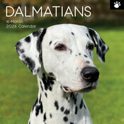 Calendrier 2026 Dalmatien