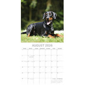 Calendrier 2025 Chien Doberman