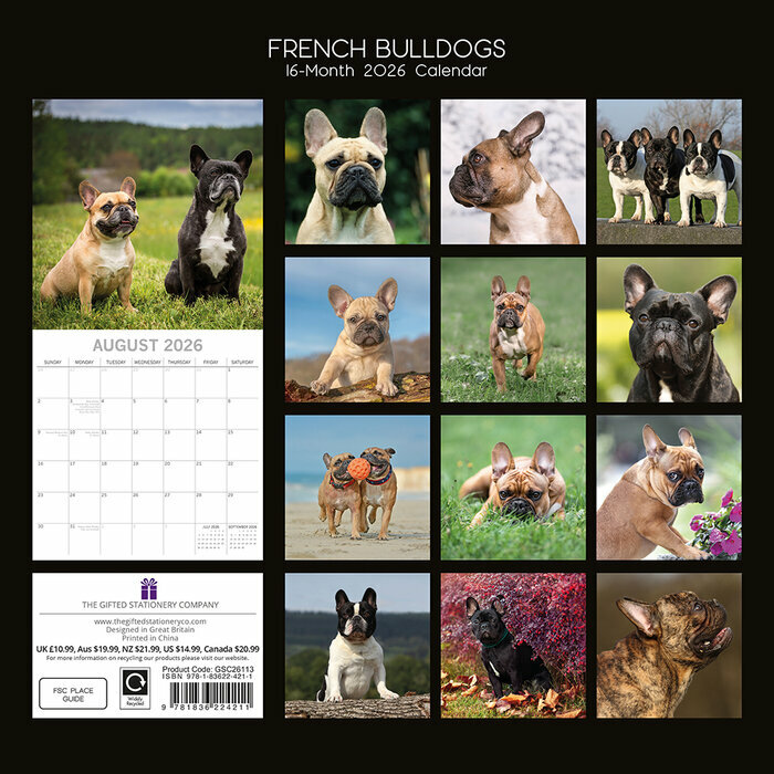 Calendrier 2025 Chien CompagnieBouledogue Franais