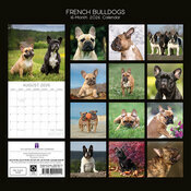 Calendrier 2025 Chien CompagnieBouledogue Franais