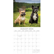 Calendrier 2025 Chien Bouledogue Franais