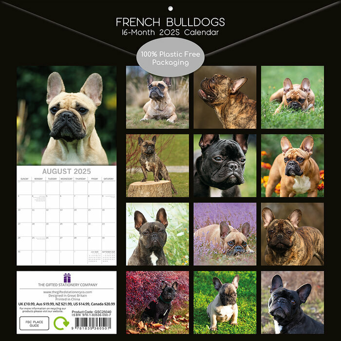 Calendrier 2025 Chien CompagnieBouledogue Français