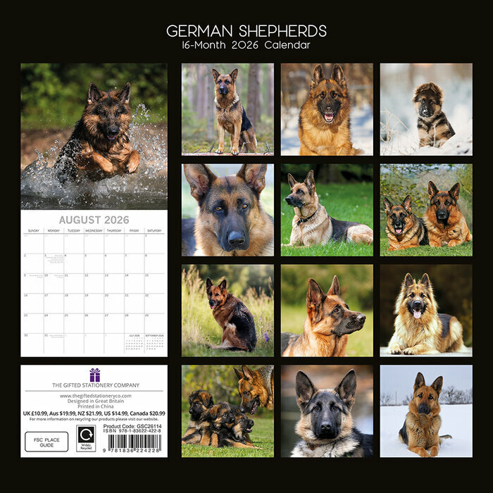 Calendrier 2026 Chien Berger Allemand