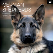 Calendrier Mural 2026 Chien Berger Allemand