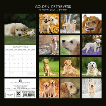 Calendrier 2026 Chien de Race Golden Retriever Poil long Calendrier 2026 Chien de Race Golden Retriever Poil long