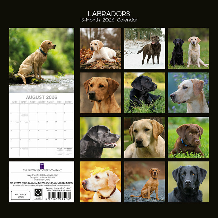 Calendrier papier 2026 Labrador