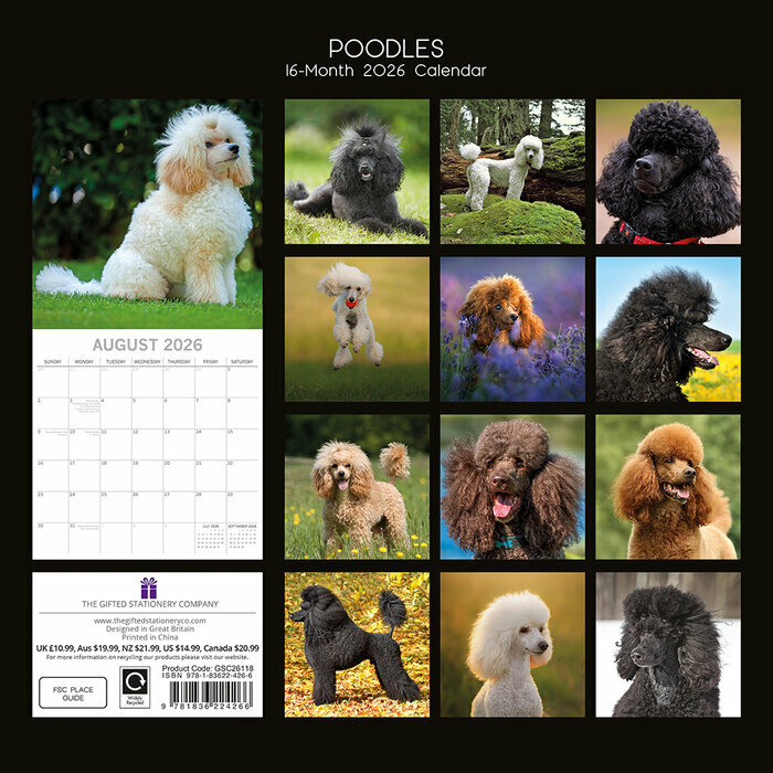 Calendrier papier 2026 Chien Caniche