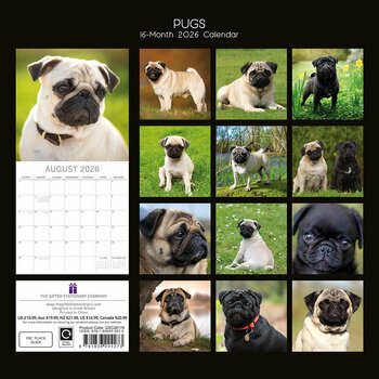 Calendrier 2025 Chien Carlin
