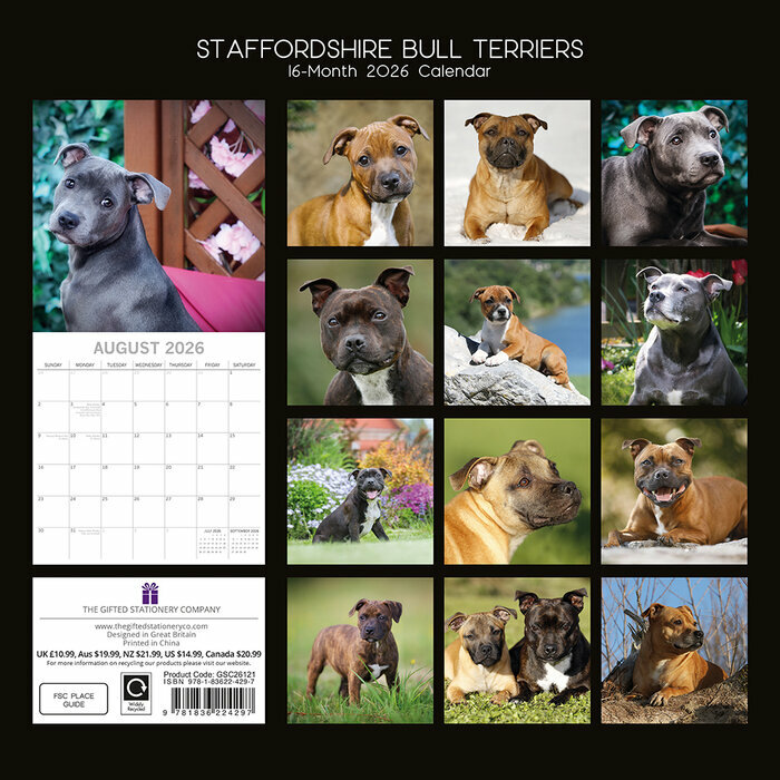 Calendrier 2026 Chien Staffordshire Bull Terrier