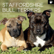 Calendrier Mural 2026 Chien Staffordshire Bull Terrier