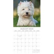 Calendrier 2026 Chien West Highland White Terrier