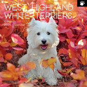 Calendrier Mural 2026 Chien West Highland White Terrier