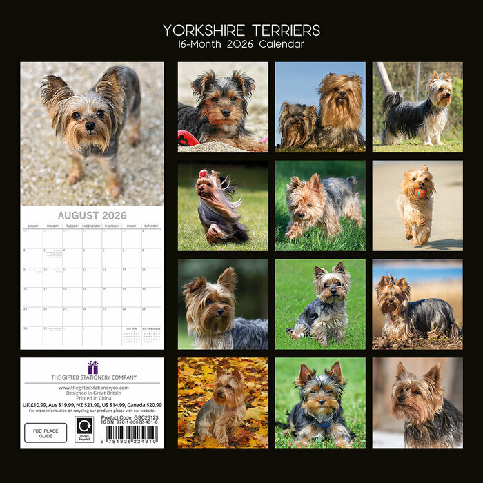 Calendrier 2026 mural Yorkshire Terrier