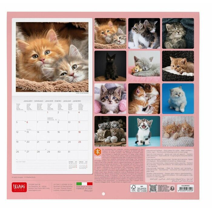 Calendrier 2025 Chatons 