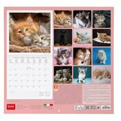 Calendrier 2025 Chatons 