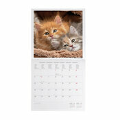 Calendrier 2025 Chatons Bébés