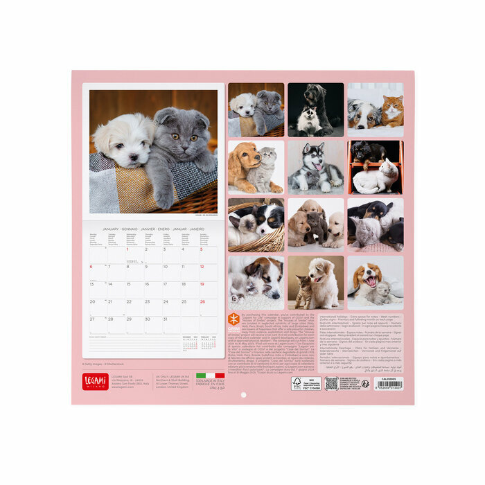 Calendrier 2025 Animaux Chien et Chat