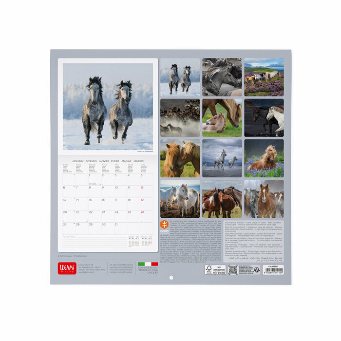 Calendrier 2025 Cheval Nature