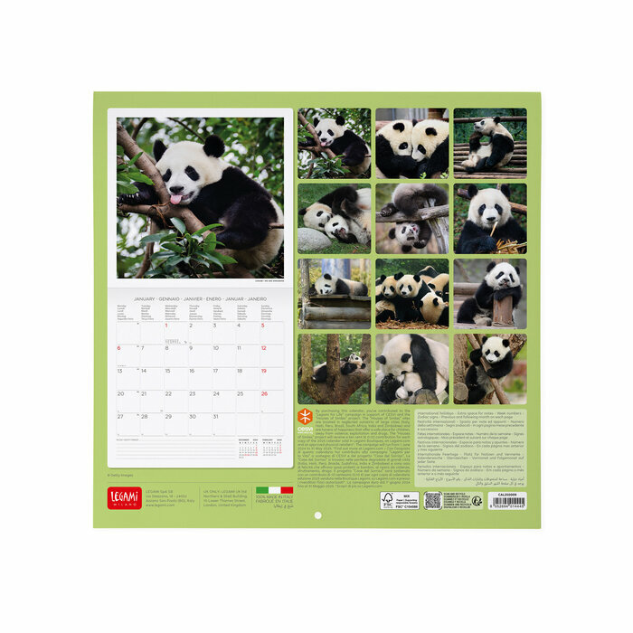 Calendrier 2025 Panda