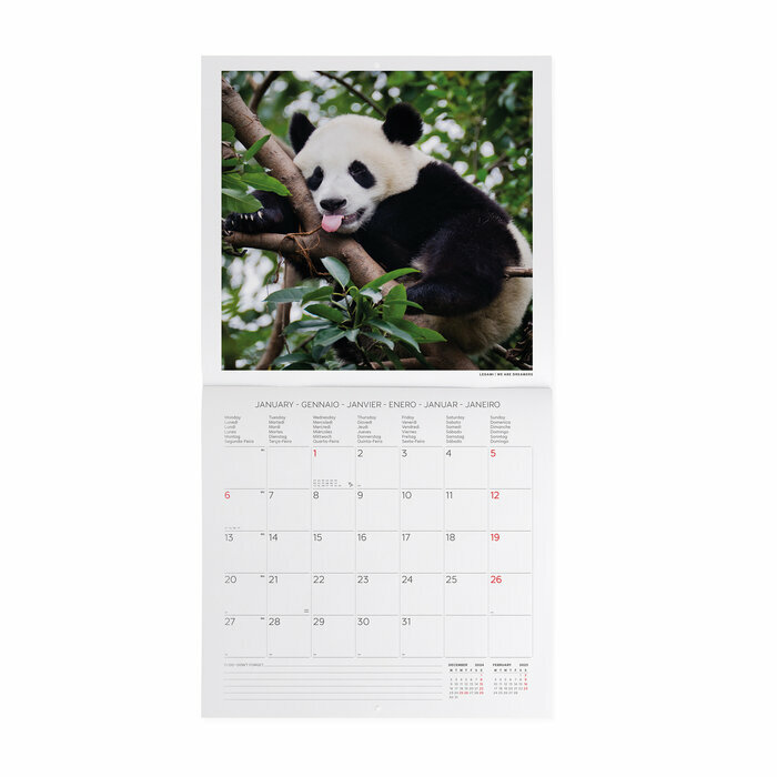 Calendrier 2025 Panda Fantastic