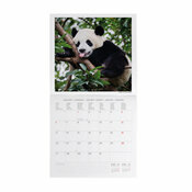 Calendrier 2025 Panda Fantastic