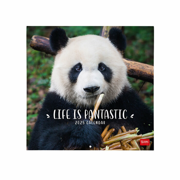 Calendrier Mural 2025 Panda Fantastic