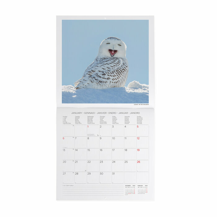 Calendrier 2025 Chouette Hiboux