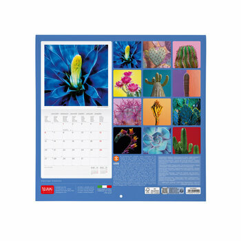 Calendrier 2025 Plantes Succulentes