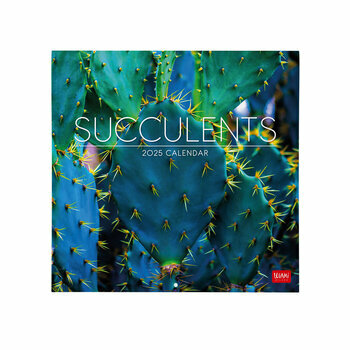 Calendrier 2025 Plantes Succulentes