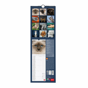 Calendrier Slim 2025 Chats Mignons