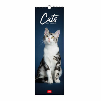 Calendrier Slim 2025 Chats Mignons