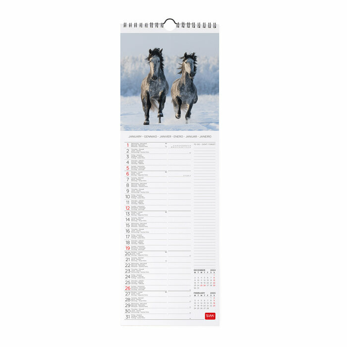 Calendrier Slim 2025 Chevaux Sauvages