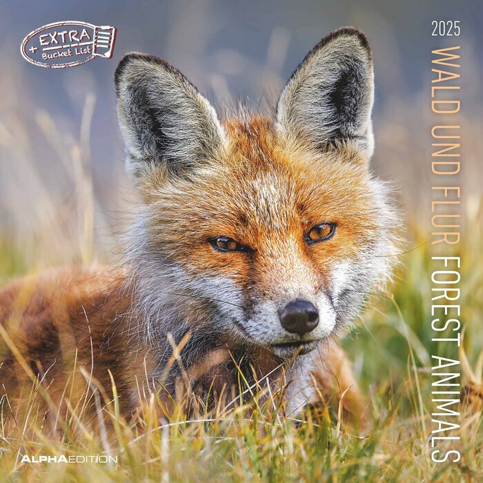 Calendrier Mural 2025 Animaux de la fort