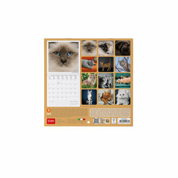 Mini Calendrier 2025 Chats 