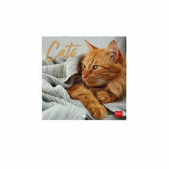 Mini Calendrier 2025 Chats 