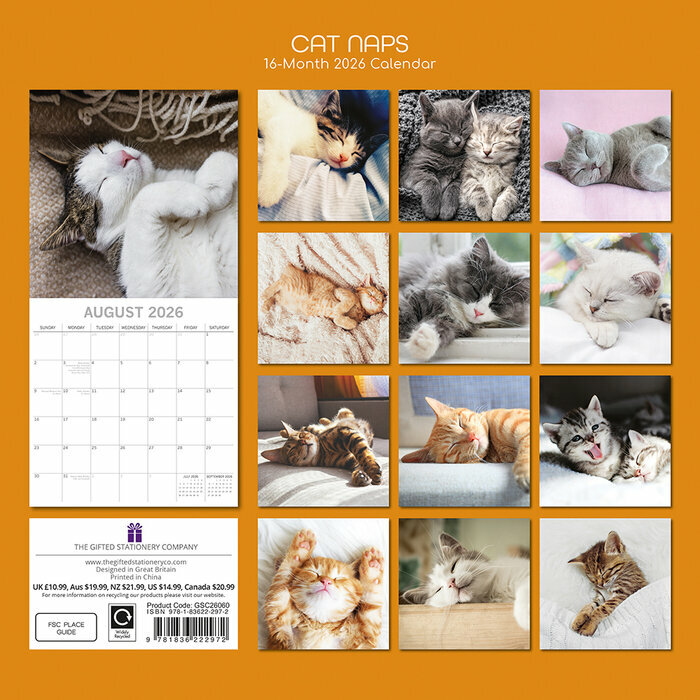 Calendrier papier 2026 Chats Endormis Sieste