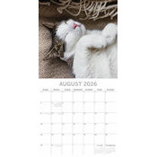 Calendrier Mural 2026 Chats  Sieste