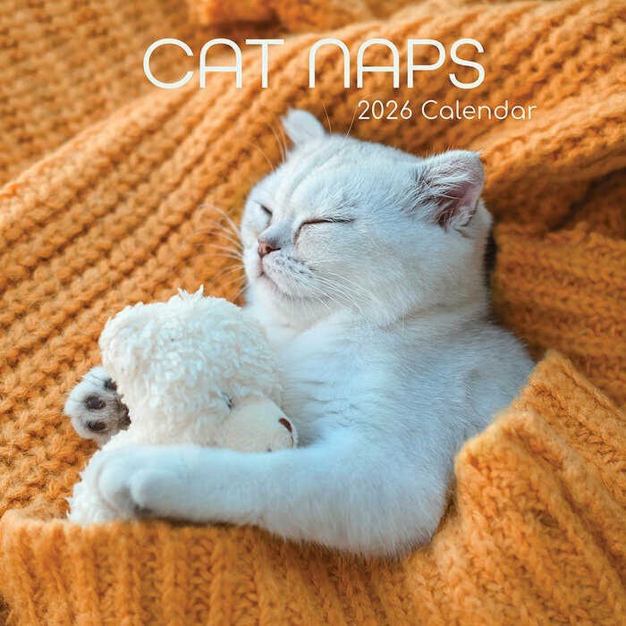 Calendrier Mural 2026 Chats Endormis Sieste