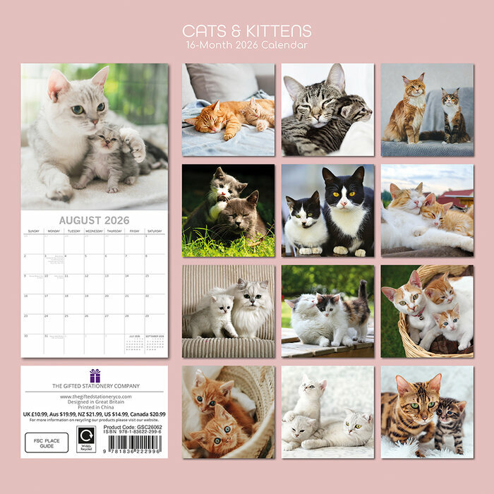 Calendrier Papier 2026 Chats Chatons