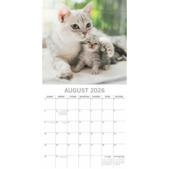 Calendrier Mural 2026 Chats Chatons