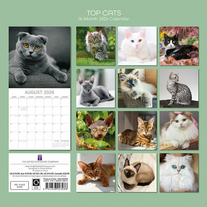 Calendrier mural 2026 Chats de Race Bengal