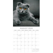 Calendrier Papier 2026 Chats de Race Bengal