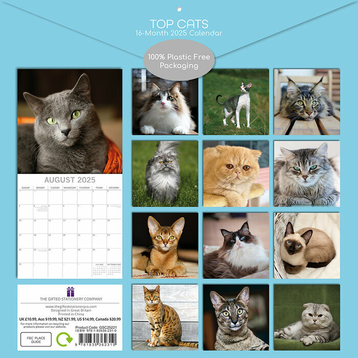 Calendrier 2025 Chats de Race Variées Abyssin