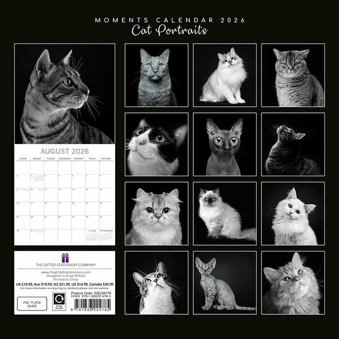 Calendrier 2026 mural Chats Portraits Noir et Blanc PAPIER